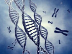DNA